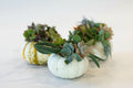 Small Pumpkin