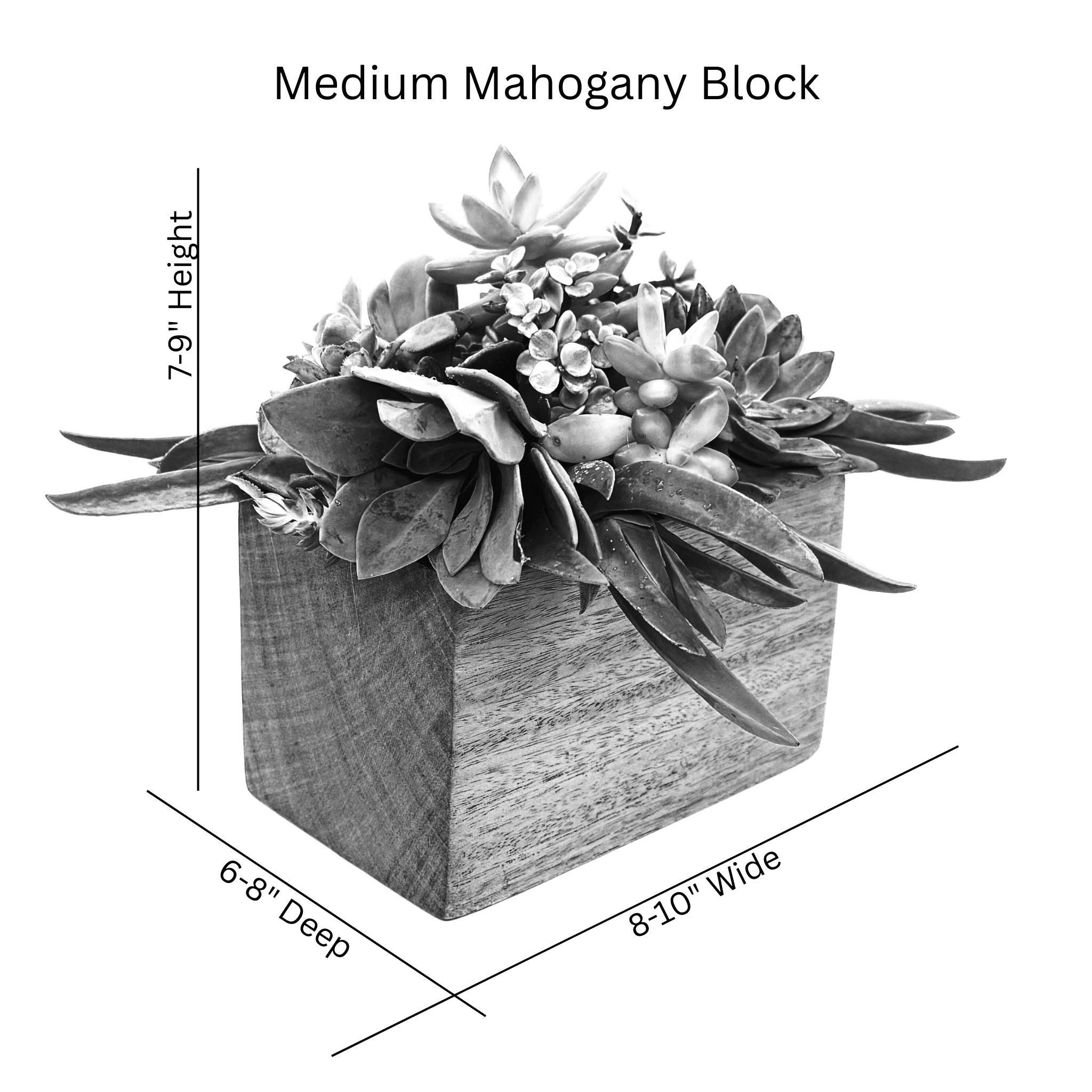 Medium Block