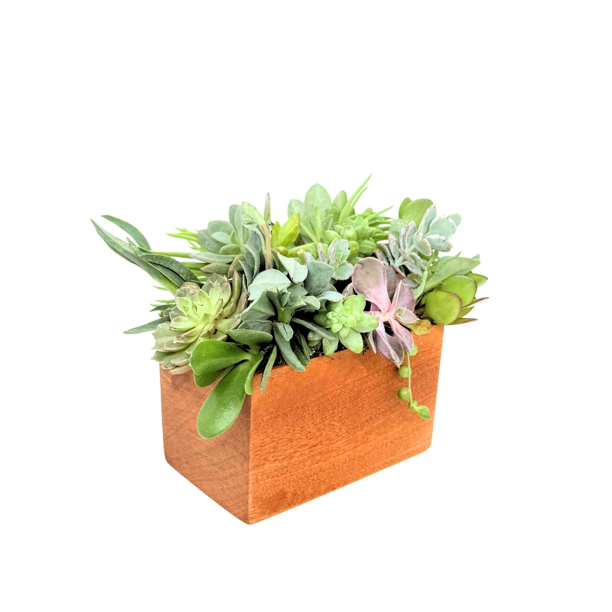 Medium Block