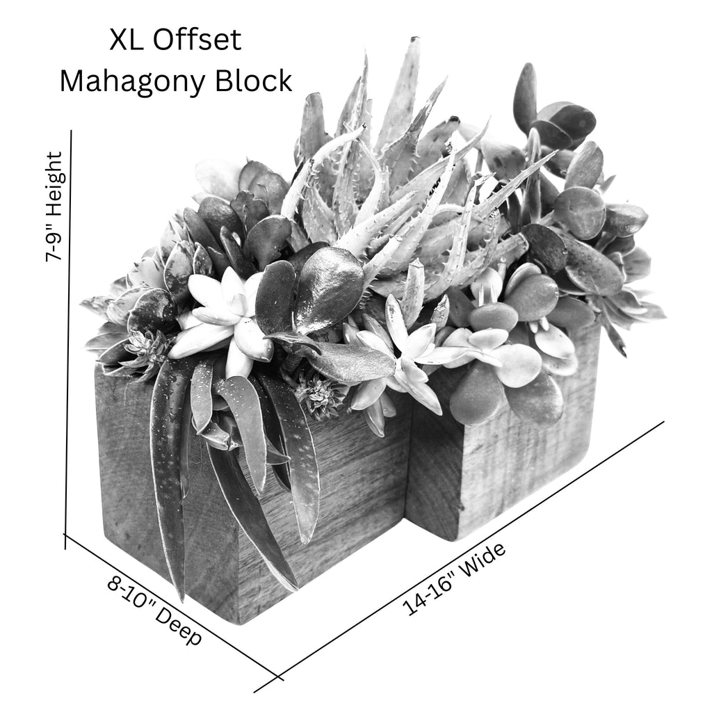 XL Offset Block