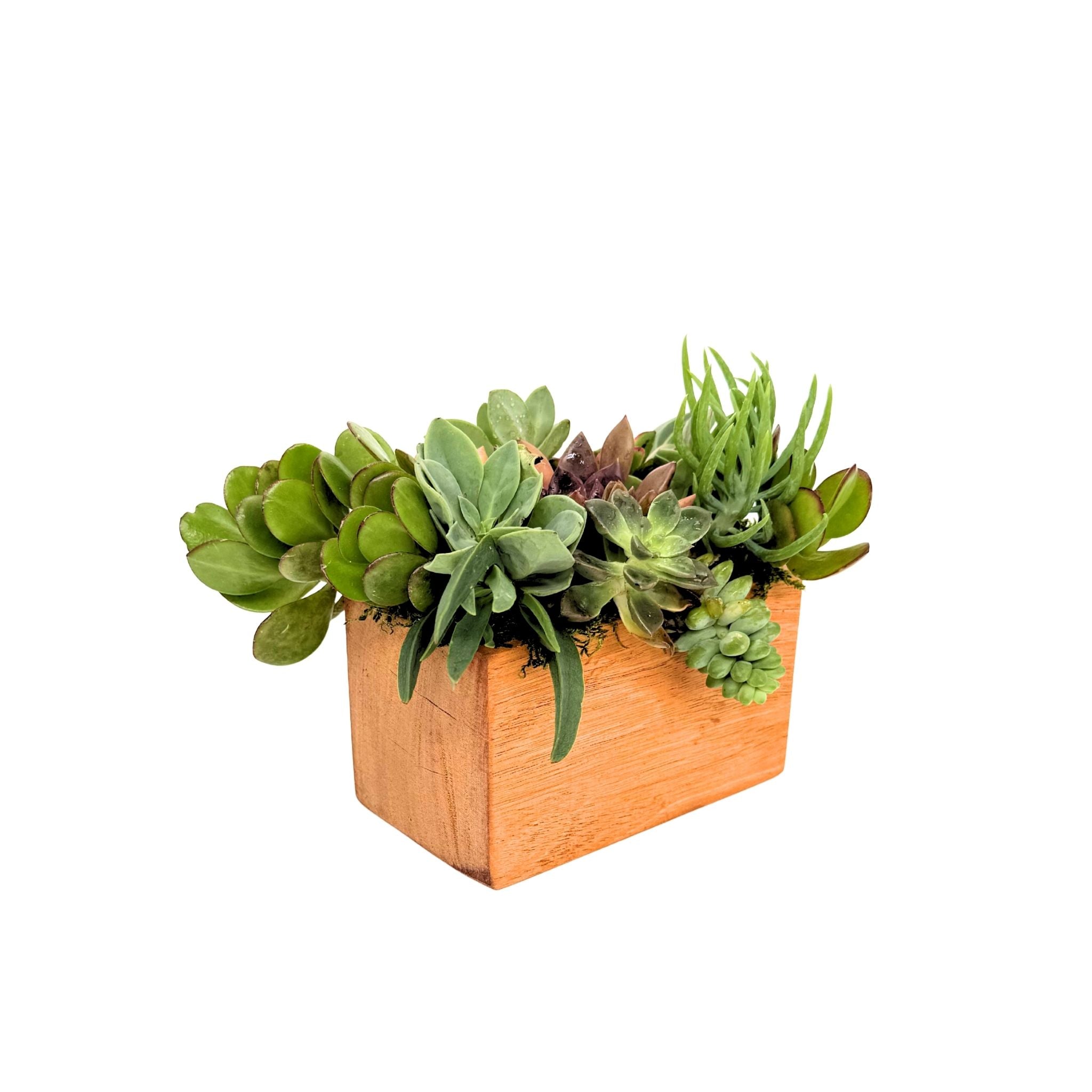 Medium Block